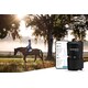 Horse-Focused Health Monitoring Solutions Image 1