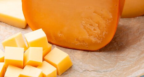 Next-Generation Cheese Cultures