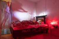 Immersive House Installations Image 2