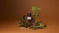 Mind-Body Metabolic Supplements Image 1