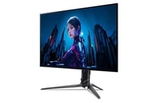High-End Gaming Displays