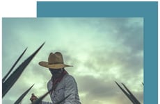 Authentic Tequila Expressions