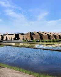 Wooden Resilience Stadiums Image 2