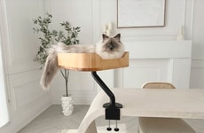 Desk Mounted Cat Beds