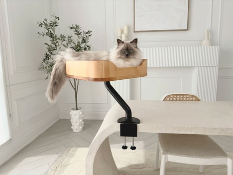 Desk Mounted Cat Beds