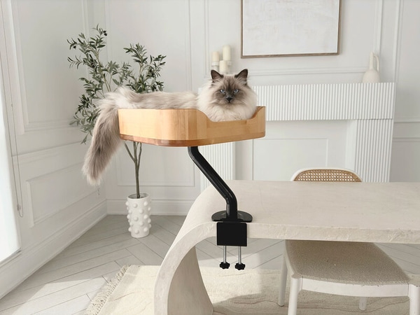 Desk Mounted Cat Beds