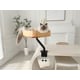 Desk Mounted Cat Beds Image 1