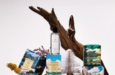 Artful Wintry Fragrances