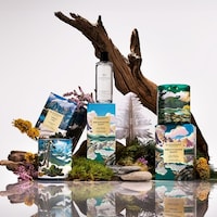 Artful Wintry Fragrances