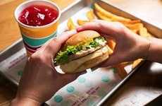 Plant-Based Foodservice Chicken Products