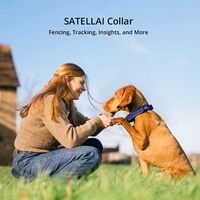 Satellite-Connected Dog Collars