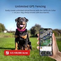 Satellite-Connected Dog Collars Image 3