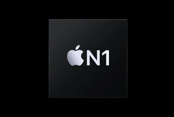 In-House Networking Chips