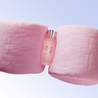 Powdery Gourmand Perfumes