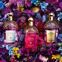 Desert Floral-Inspired Fragrances