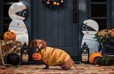 Recipe-Inspired Dog Costumes