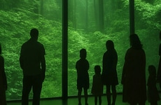 Wondrous Multi-Media Experiences