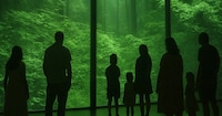 Wondrous Multi-Media Experiences