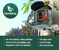 AI-Powered Bird Feeder Systems Image 3