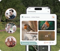 AI-Powered Bird Feeder Systems Image 4