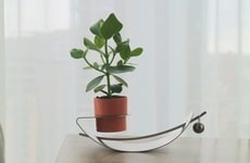 Gentle Slant Planters