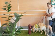 Airport Dog Training Initiatives