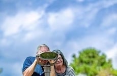 In-Park Colorblind Viewfinders