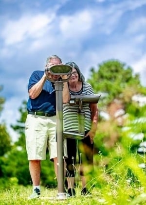 In-Park Colorblind Viewfinders