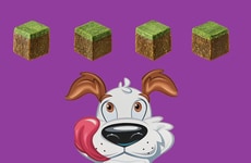 Cubic Gamer Dog Treats