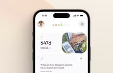 Digital Journaling Platforms