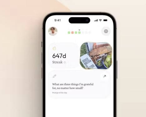 Digital Journaling Platforms