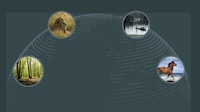 Eco AI Chats Image 1