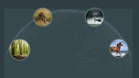 Eco AI Chats