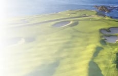 Golf Tee Marketplaces