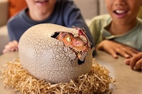 Interactive Hatching Dinosaur Toys Image 4