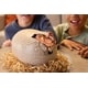 Interactive Hatching Dinosaur Toys Image 4