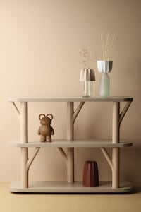 Living Storage Systems Image 2