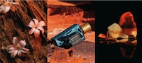Native Botanicals-Inspired Perfumes Image 1