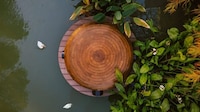 Floating Duck Shelters