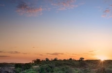 Site-Integrated Safari Retreats