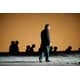 Interactive Toronto Opera Events Image 1