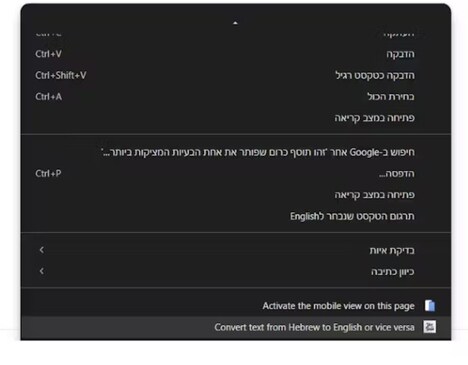 Bilingual Typing Tools