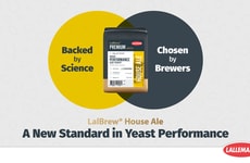 Performance-Driven Yeast Strains