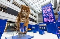 Futuristic Museum Exhibitions