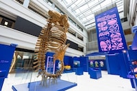 Futuristic Museum Exhibitions