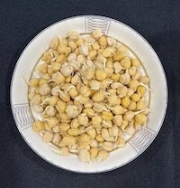 Proprietary Germination Technologies Image 1