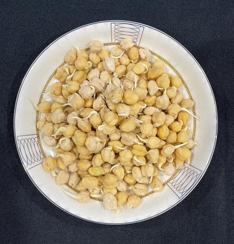 Proprietary Germination Technologies