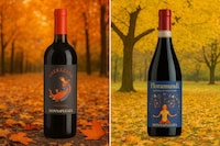 Sicilian Red Wines Image 1