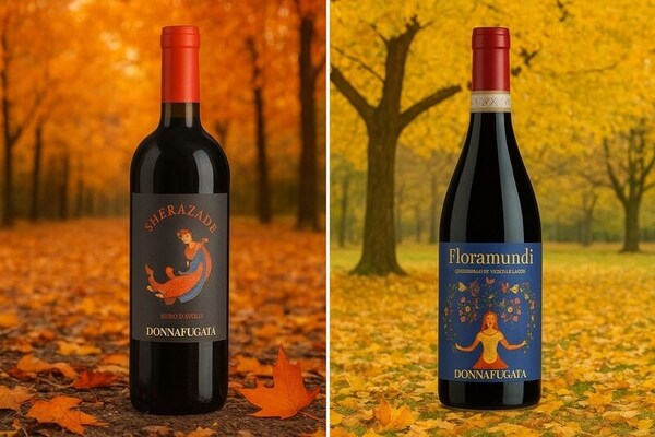 Sicilian Red Wines
