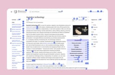 Inclusive Web Access